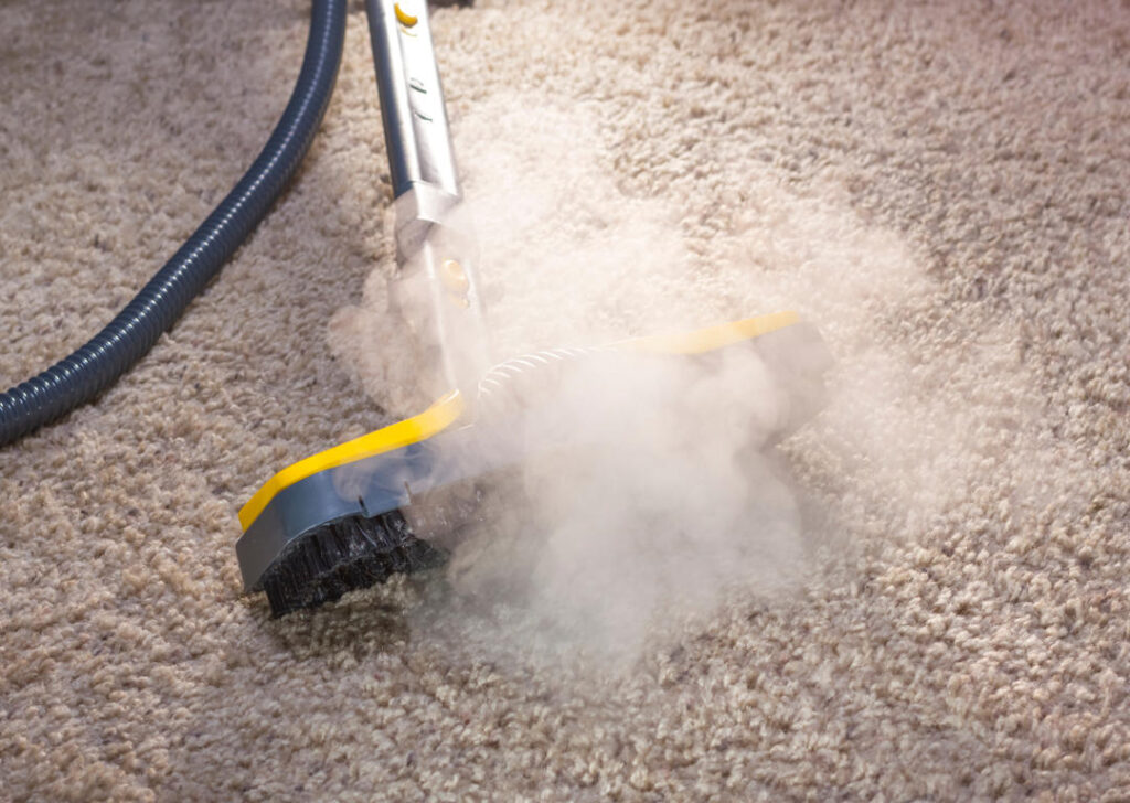 How Steam Cleaners Revolutionize Industrial Cleaning