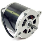 Wayne Burner Motor 12V DC