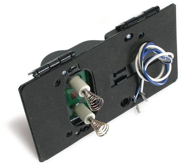 Wayne Burner Ignitor, Side Mount (E), 12V