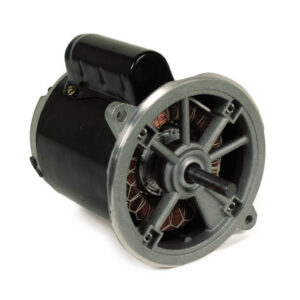 Wayne Burner Motor 115V