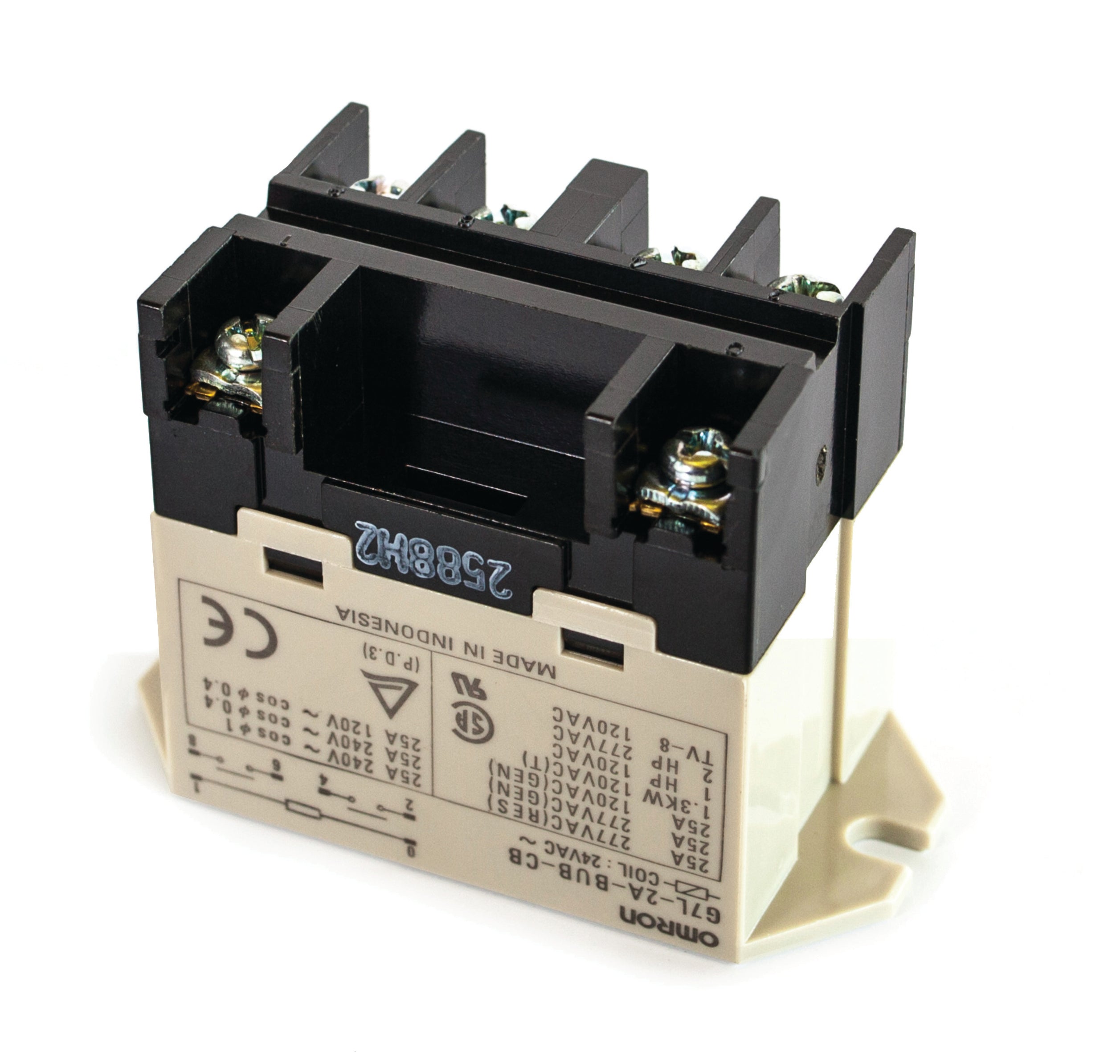 Relay Switch, DPST-NO, 24V - Image 1