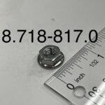 NUT, 1/4-20, WHIZ LOC FLANGE, SS